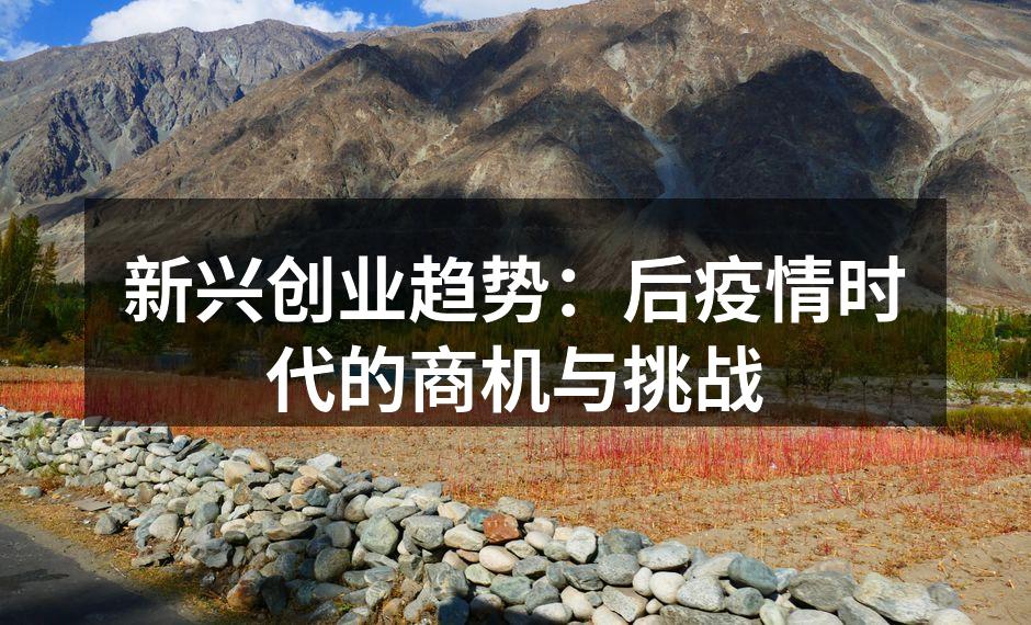 新兴创业趋势：后疫情时代的商机与挑战