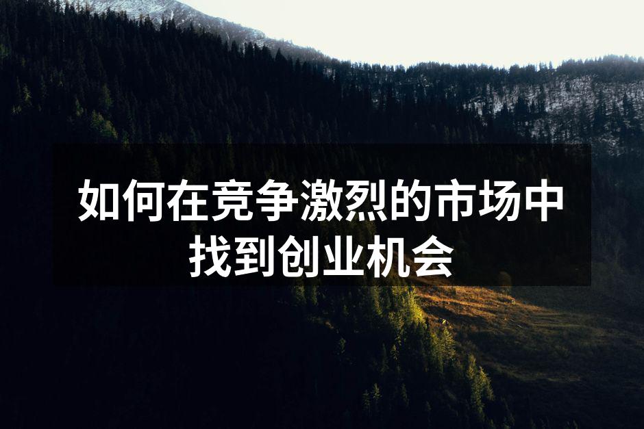如何在竞争激烈的市场中找到创业机会